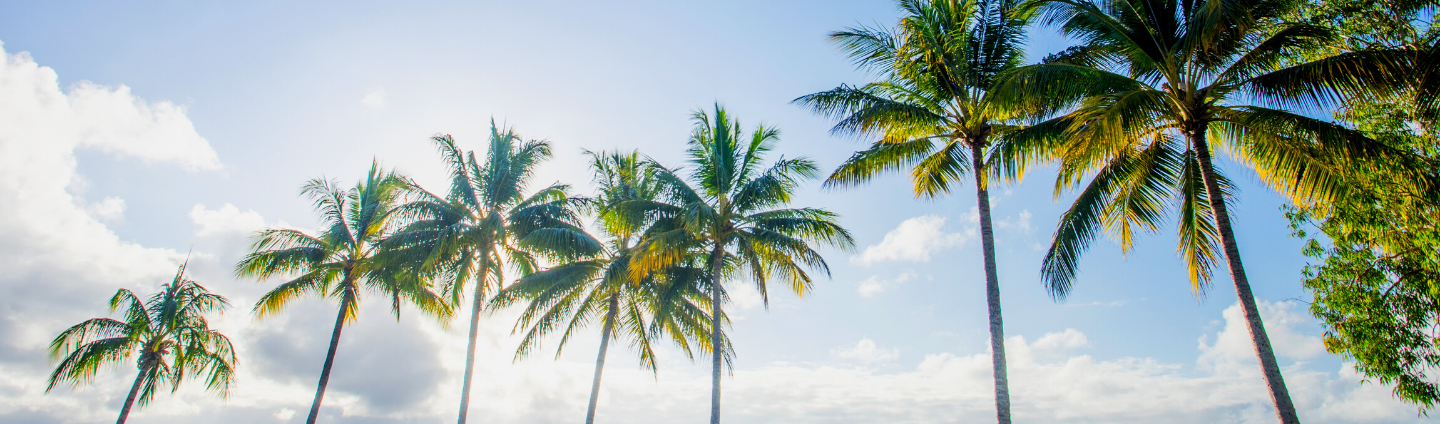 Healthcare Jobs in Australia