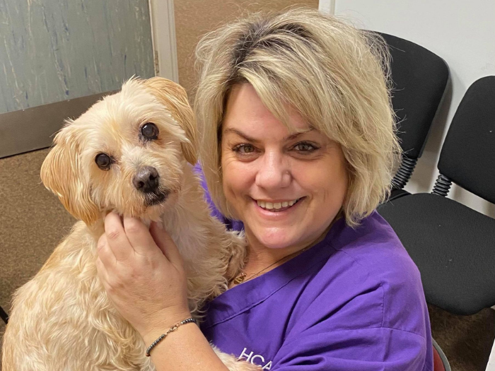 Nikole's Travel Nursing Adventure - The 'Accidental Lap' 1 - Healthcare Australia Rural and Remote Dog