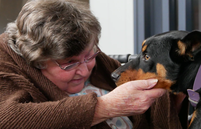Aged Care community: 3 good news stories