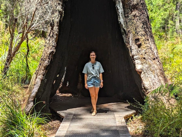 Western Wonders: India's Travel Nursing Adventures through WA and Beyond 3 - Healthcare Australia 5 1 - Healthcare Australia