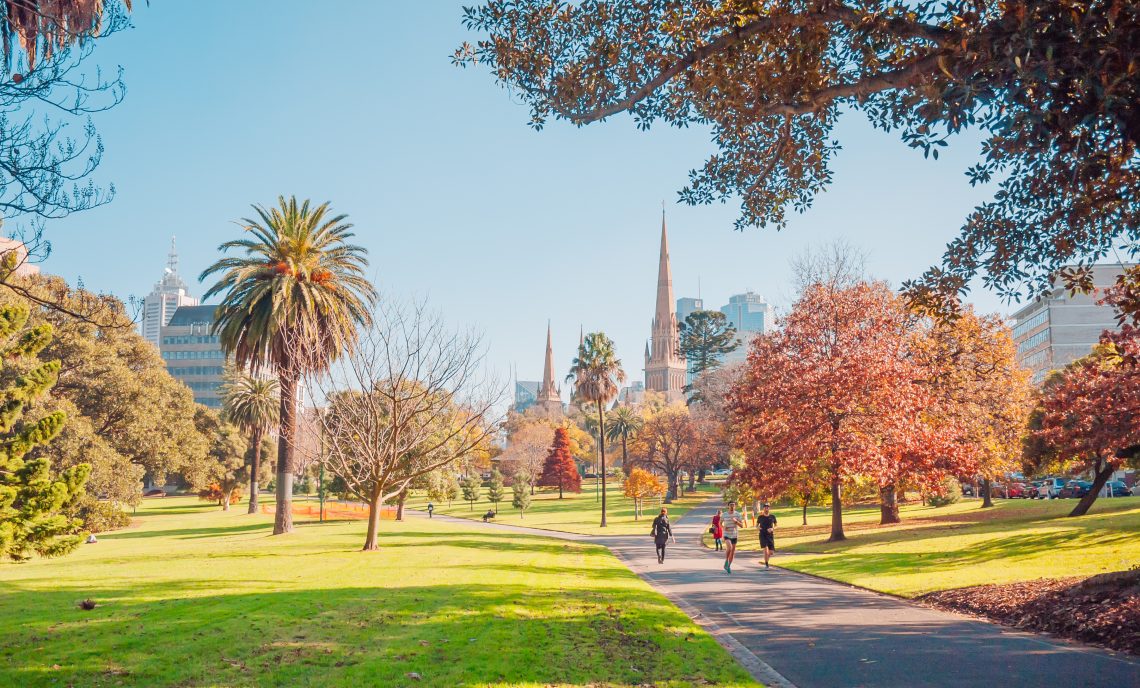 Melbourne in Autumn: A Seasonal Guide for International Nurses and Midwives