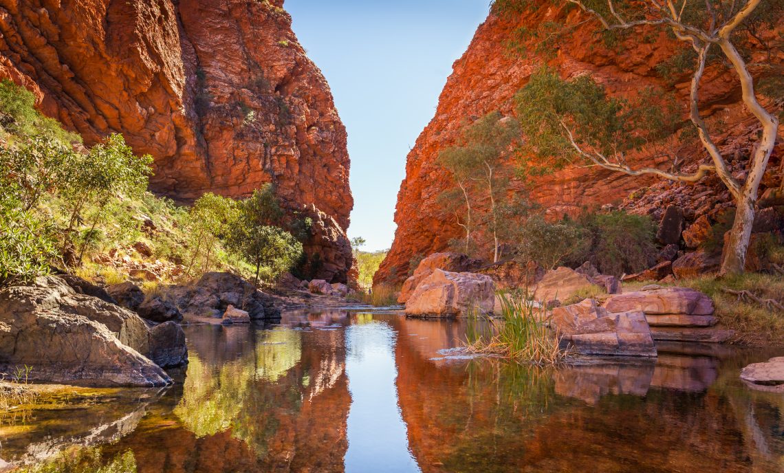 Locum Allied Health Work: What Healthcare Australia Offers Beyond the Next Placement
